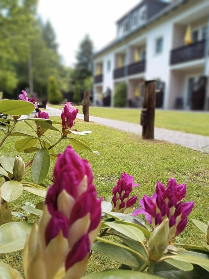Gaestehaus Falkenhof Westensee Eksteriør bilde